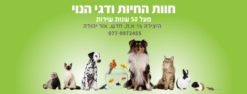 רונן יהודה