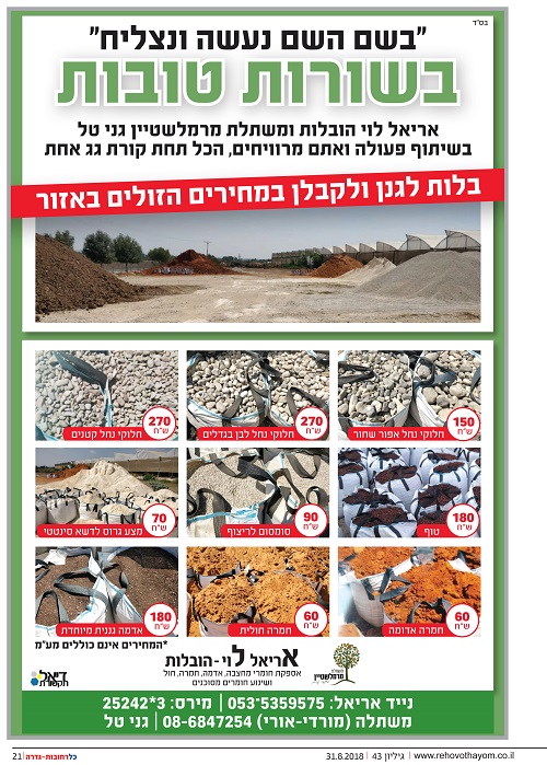 אריאל לוי