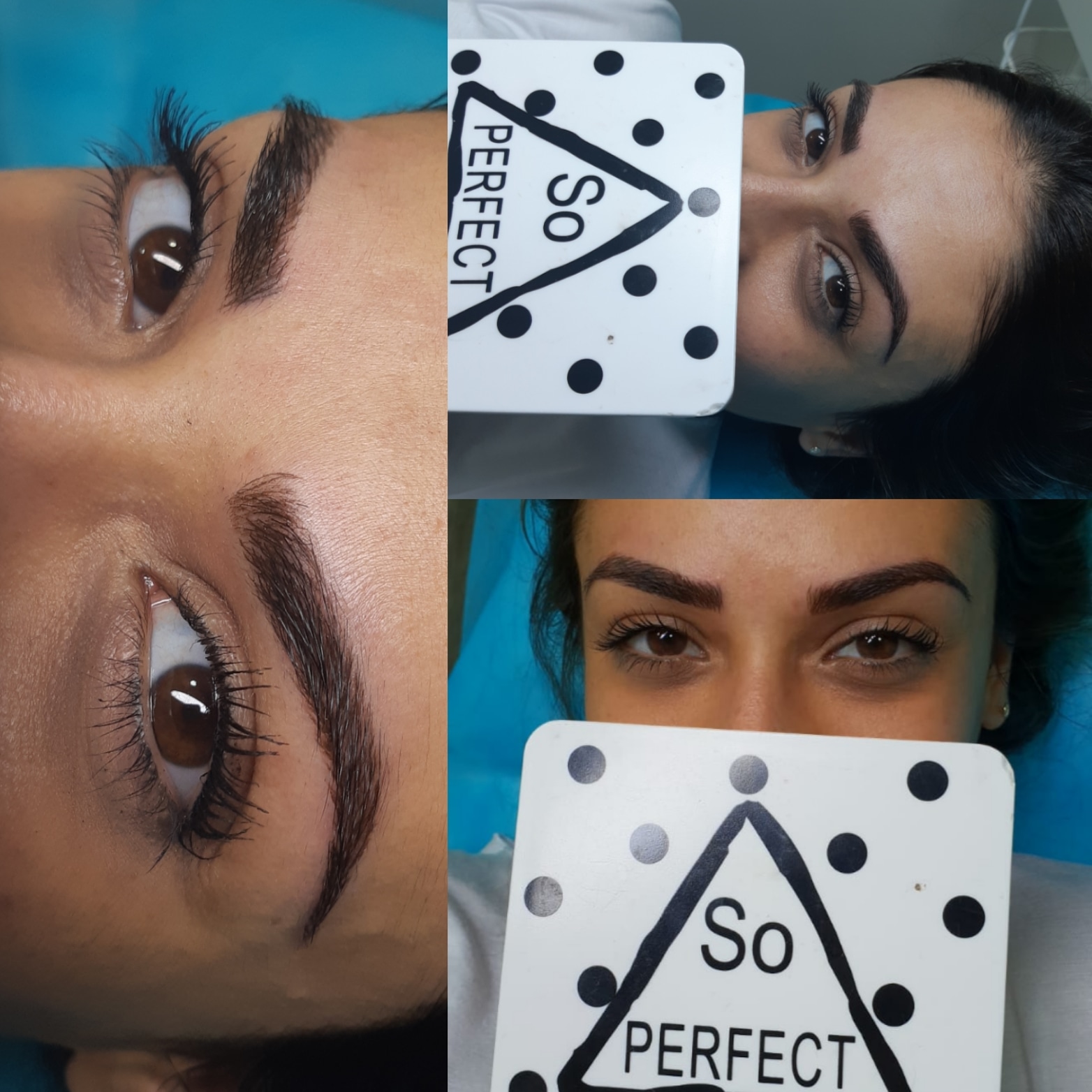 קרן אלון