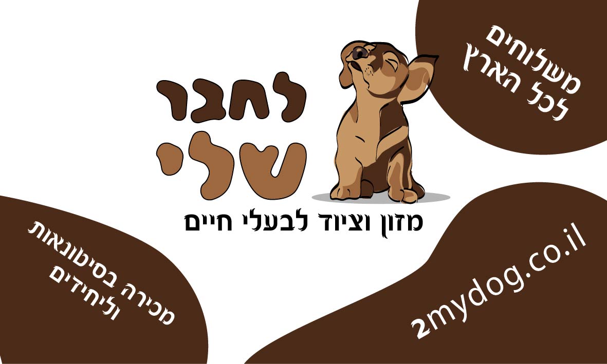 אבישי